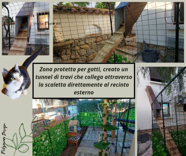 #catsplayground ..Merci a notre ami 'Serge Merlin' pour l'idée, notre poutres pour couvrir l'escalier que permit aux cats d'arriver dans l'enceinte directment sans risques! 
.
.
#travi #poutres #cats #catsplayground #catslovers #travifintolegno #recinto #scalettagatti #gatti #amicigatti #gattara